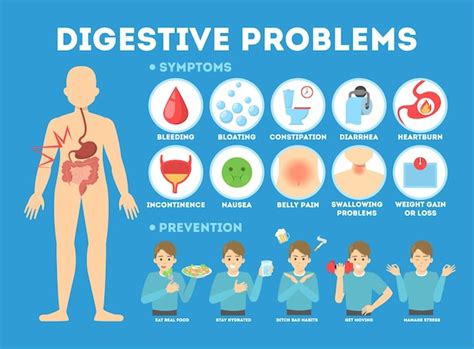 constipation diarrhea stomach nausea pain problems prevention digestive intestine illness illustration premium infographic vector